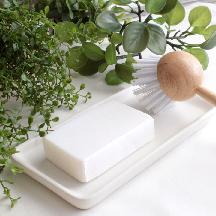 Dish soap bar and brush on tray